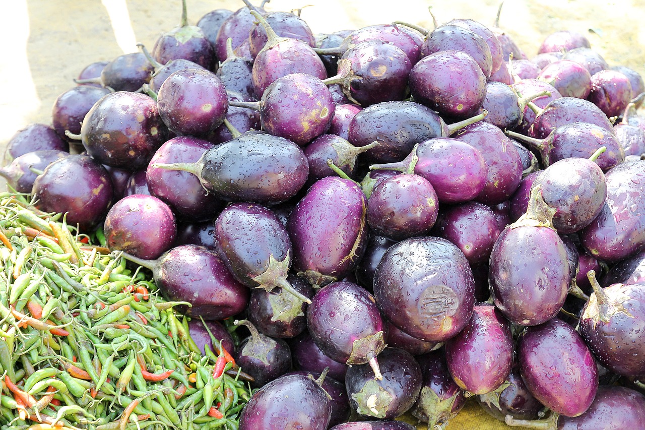 eggplant, indian, brinjal, aubergine, food, fresh, vegetable, culinary, cuisine, tasty, cooking, vegan, purple, raw, agriculture, vegetarian, eat, natural, organic, fruit, product, market, farm, brinjal, brinjal, brinjal, brinjal, brinjal